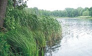 Am Krummen See, Foto:  Petra Förster, Lizenz: Tourismusverband Dahme-Seenland e.V.