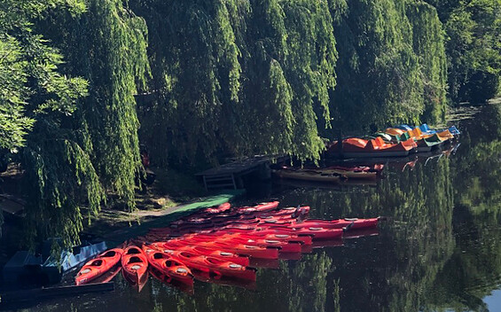 Königsboot - Boat rental at the Notte Canal in Königs Wusterhausen, Foto:  Antje Wenzel, Lizenz: Königsboot Bootsverleih