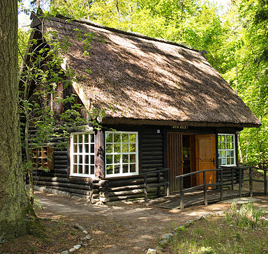 Waldmuseum Stendenitz  