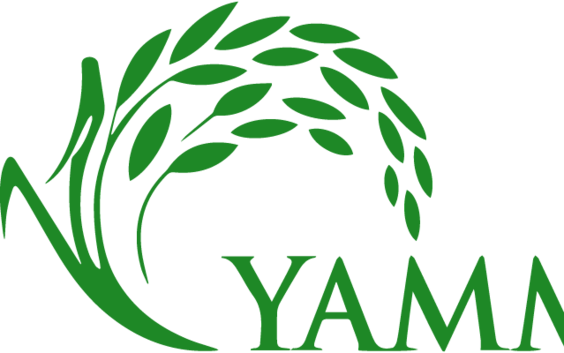 Yammy Cuisine -Vietnamesisches Restaurant, Foto: Minh Tuan DOAN, Lizenz: Yammy Restaurant