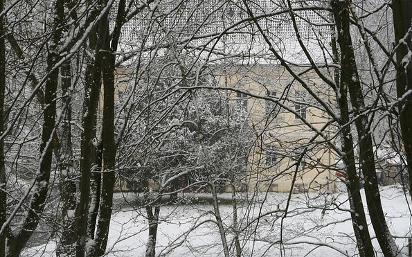 Mühle im Winter