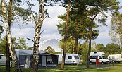 Wohnmobilstellplatz auf dem Tropical Islands Campingplatz , Foto: ., Lizenz: Tropical Islands