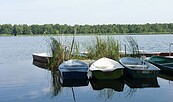 Köthener See, Foto: Petra Förster, Lizenz: Tourismusverband Dahme-Seenland e.V.