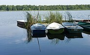 Köthener See, Foto: Petra Förster, Lizenz: Tourismusverband Dahme-Seenland e.V.