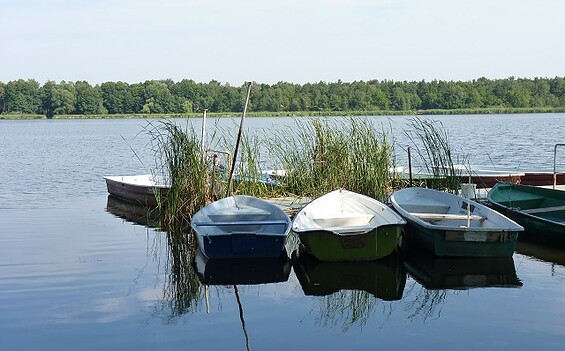 Naturbadestelle Köthener See