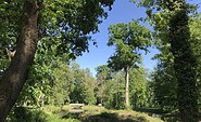 Park Wollup, Foto: Seenland Oder-Spree