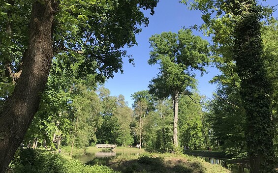 Park Wollup, Foto: Seenland Oder-Spree