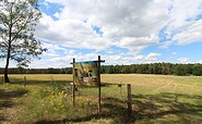 Wanderung Langes Luch, Infotafel Trockenrasen, Foto: LIFE Feuchtwälder, Lizenz: Stiftung NaturSchutzFonds Brandenburg