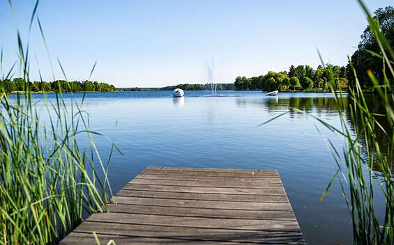 Müllroser See, Foto: Steffen Lehmann, Lizenz: TMB