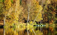 Am Köthener Heidesee, Foto: Juliane Frank, Lizenz: Tourismusverband Dahme-Seenland e.V.