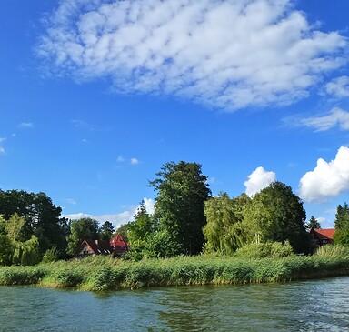 Ufer am Teupitzer See, Foto: Juliane Frank, Lizenz: Tourismusverband Dahme-Seenland e.V.