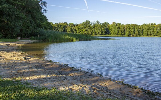 Klostersee Altfriedland, Foto: TMB-Fotoarchiv/ScottyScout
