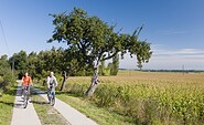 In der Uckermark, Foto: Klaus-Peter Kappest/Uckermark (tmu GmbH)