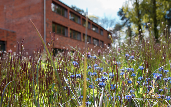 Umwelt-Bildungszentrum Berlin-Außenansicht, Foto: Umwelt-Bildungszentrum Berlin, Lizenz: Umwelt-Bildungszentrum Berlin