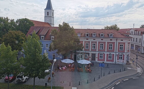 Der Adler, Foto: Angelika Voigt