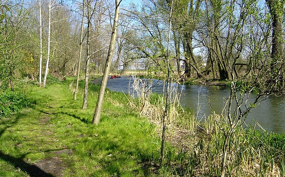 Various Ways Across the Southern Oderbruch (canoe tour)