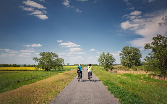 Radfahrer im Seenland Oder-Spree, Foto: Florian Läufer, Lizenz: Seenland Oder-Spree