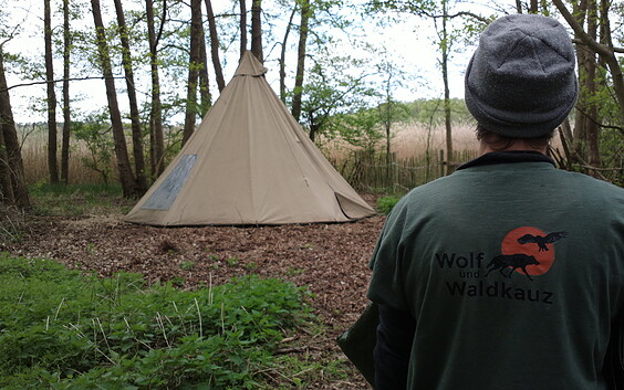 Wolf und Waldkauz - Wildnisplatz