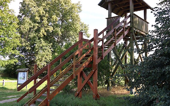 Aussichtsunkt Mellin, Foto: Uwe Martens, Lizenz: Amt Joachimsthal (Schorfheide)