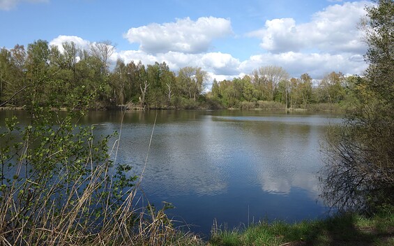 Die Havel - der "Amazonas der Mark" - Deetzer Erdelöcher, Foto: Günter Fillies, Lizenz: Günter Fillies