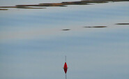 Angler, Foto: Sandra Ziesig, Lizenz: Seenland Oder-Spree