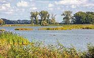 Altfriedländer Teiche, Foto: Florian Läufer, Lizenz: Seenland Oder-Spree e.V.