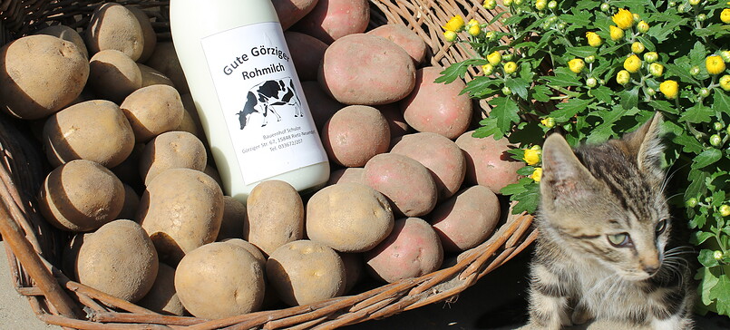 Bauernhof Schulze (cattle, crops, etc)