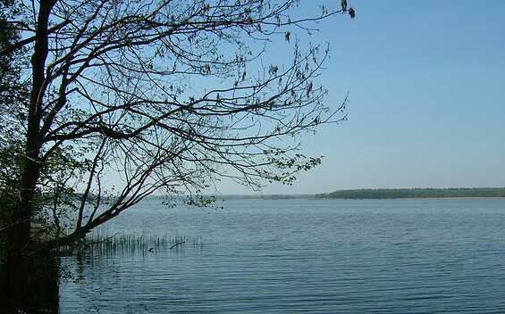 See, Foto: Seenland Oder-Spree e.V.