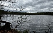 Wanderweg entlang am Ufer des Haussees, Foto: Jörg Bartz, Lizenz: TV Ruppiner Seenland e.V.