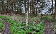 Die Wanderwege trennen sich wieder, Foto: Jörg Bartz, Lizenz: TV Ruppiner Seenland e.V.