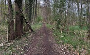 Der Wanderweg führt durch eine Mystische Landschaft, Foto: Jörg Bartz, Lizenz: TV Ruppiner Seenland e.V.