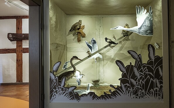 Austellung, Foto: Michael Anker