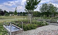 Water treading pool in the Kneipp Park Wendisch Rietz, Foto: Nadine Weber, Lizenz: Tourismusverein Scharmützelsee e. V.