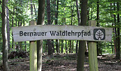 Bernauer Waldlehrpfad, Foto: Nils Lönnies