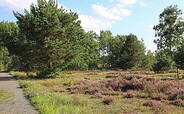 Durch die Schönower Heide, Foto: Nils Lönnies