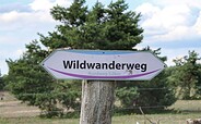 Durch die Schönower Heide, Foto: Nils Lönnies