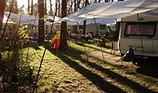 Naturcampingplatz Mölle Süd, Foto: Diana Bergmann