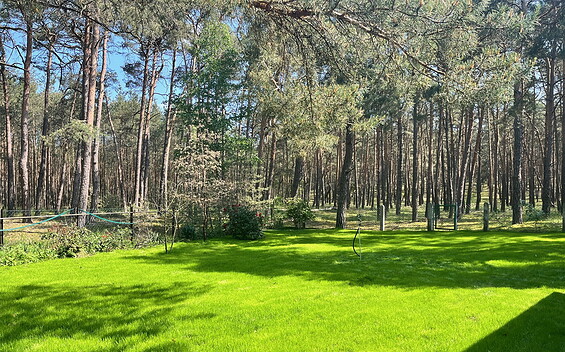 Waldhaus am Briesener See, Garten, Foto: Ingolf Manthey