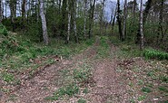 From the car park to the circular trail around Lake Sidow, Foto: Jörg Bartz, Lizenz: TV Ruppiner Seenland e.V.