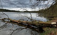 View of Lake Sidow from the opposite shore, Foto: Jörg Bartz, Lizenz: TV Ruppiner Seenland e.V.