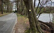 Footpath along the road for a small section, Foto: Jörg Bartz, Lizenz: TV Ruppiner Seenland e.V.