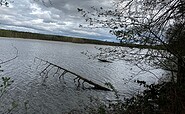 View of the lake from the lakeside path, Foto: Jörg Bartz, Lizenz: TV Ruppiner Seenland e.V.