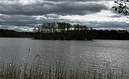 View of the lake with a small island, Foto: Jörg Bartz, Lizenz: TV Ruppiner Seenland e.V.