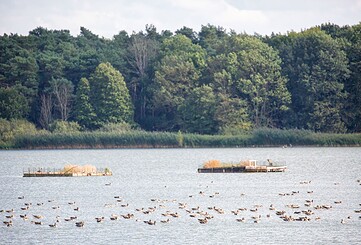 Birdwatching an den Altfriedländer Teichen, Foto: Florian Läufer, Lizenz: Seenland Oder-Spree