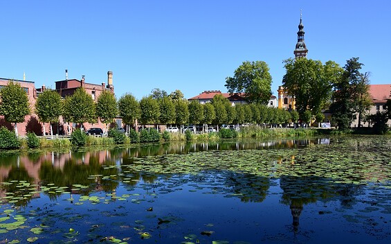 Birdwatching an der Oder bei Neuzelle, Foto: Holger Hoffmann