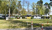 Campingplatz Schwarzhorn, Foto: Danny Morgenstern, Lizenz: Tourismusverein Scharmützelsee e. V.