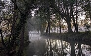 Spreewald im Nebel, Foto: Steffen Emmerling, Lizenz: Wilde Wiese