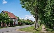 Lindenallee Neubarnim, Foto: Florian Läufer, Lizenz: Seenland Oder-Spree