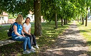 Lindenallee Neubarnim, Foto: Florian Läufer, Lizenz: Seenland Oder-Spree