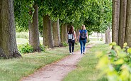 Lindenallee Neubarnim, Foto: Florian Läufer, Lizenz: Seenland Oder-Spree